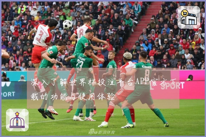深入了解世界杯投注平台APP官方下载的功能与使用体验