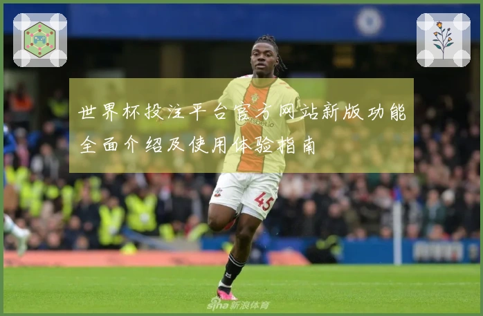 世界杯投注平台官方网站新版功能全面介绍及使用体验指南