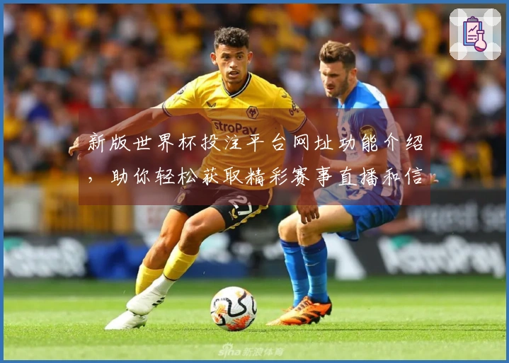 新版世界杯投注平台网址功能介绍，助你轻松获取精彩赛事直播和信息
