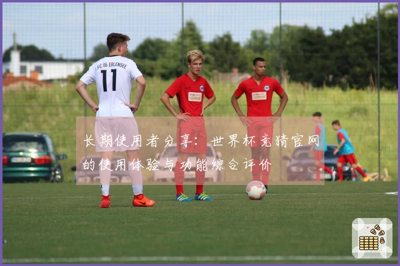 长期使用者分享：世界杯竞猜官网的使用体验与功能综合评价