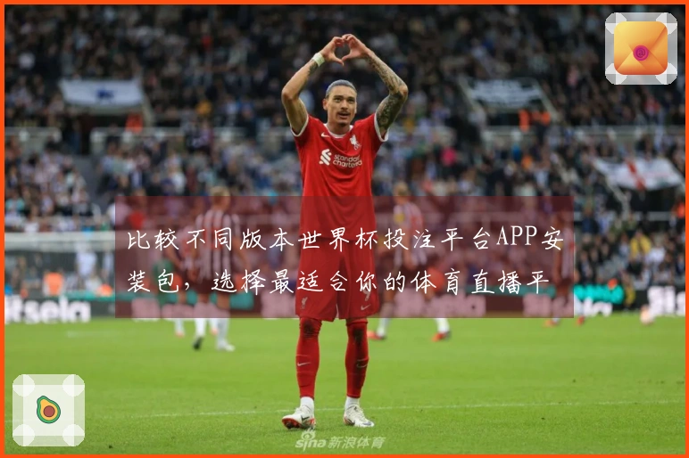 比较不同版本世界杯投注平台APP安装包，选择最适合你的体育直播平台