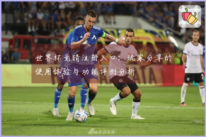 世界杯竞猜注册入口：玩家分享的使用体验与功能评测分析