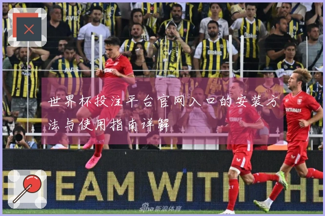 世界杯投注平台官网入口的安装方法与使用指南详解