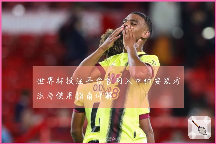 世界杯投注平台官网入口的安装方法与使用指南详解